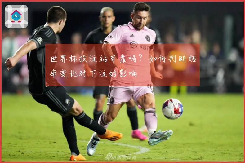 世界杯投注站可靠吗？如何判断赔率变化对下注的影响