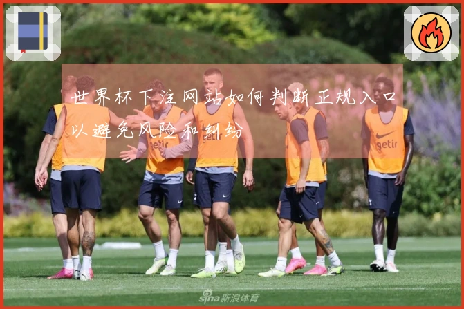 世界杯下注网站如何判断正规入口以避免风险和纠纷