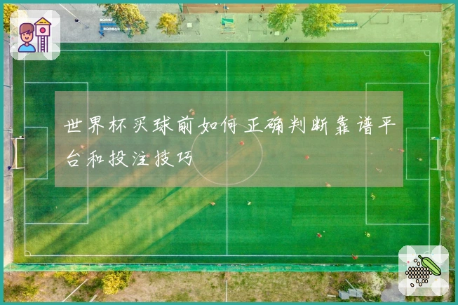 世界杯买球前如何正确判断靠谱平台和投注技巧