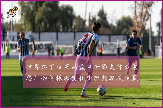 世界杯下注网站盘口升降是什么意思？如何根据变化合理判断投注策略