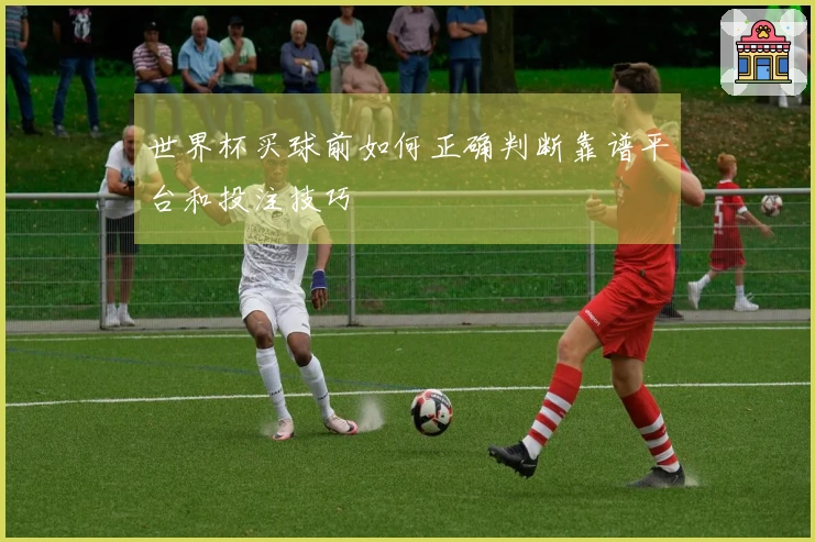 世界杯买球前如何正确判断靠谱平台和投注技巧