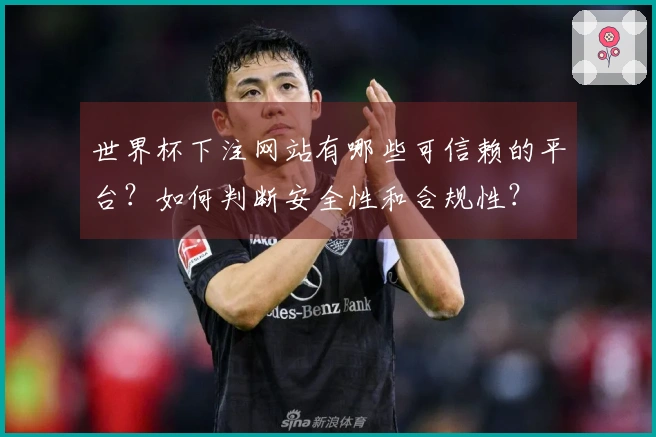 世界杯下注网站有哪些可信赖的平台？如何判断安全性和合规性？