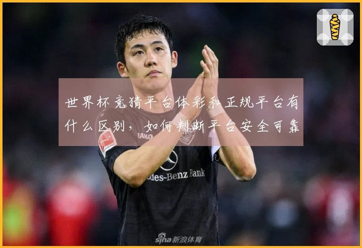 世界杯竞猜平台体彩和正规平台有什么区别，如何判断平台安全可靠