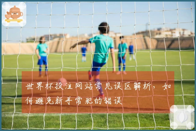 世界杯投注网站常见误区解析，如何避免新手常犯的错误