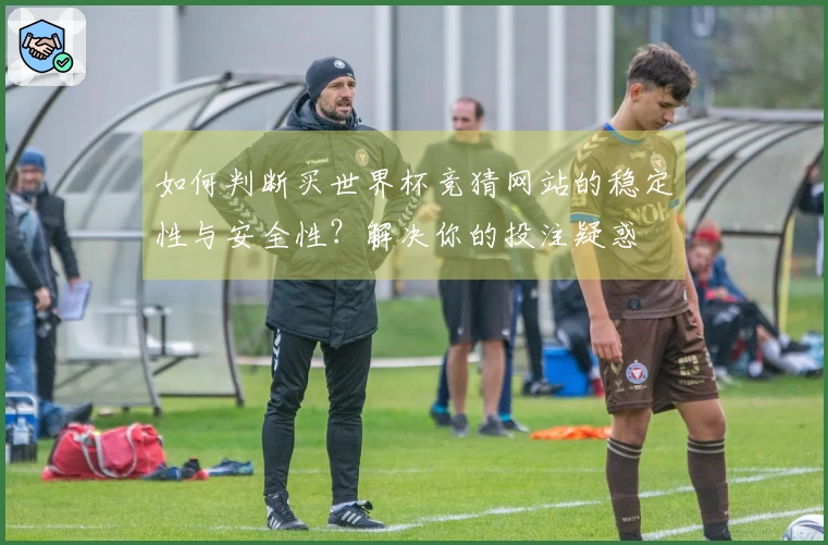 如何判断买世界杯竞猜网站的稳定性与安全性？解决你的投注疑惑