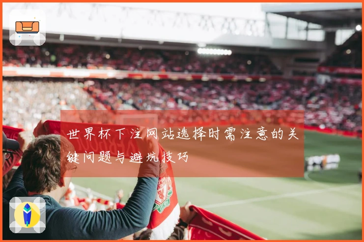 世界杯下注网站选择时需注意的关键问题与避坑技巧