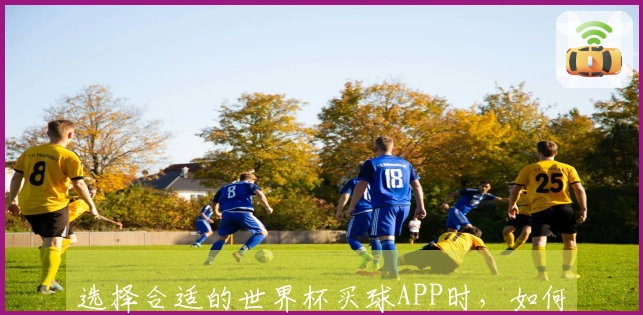 选择合适的世界杯买球APP时，如何辨别海外平台的风险与安全性？