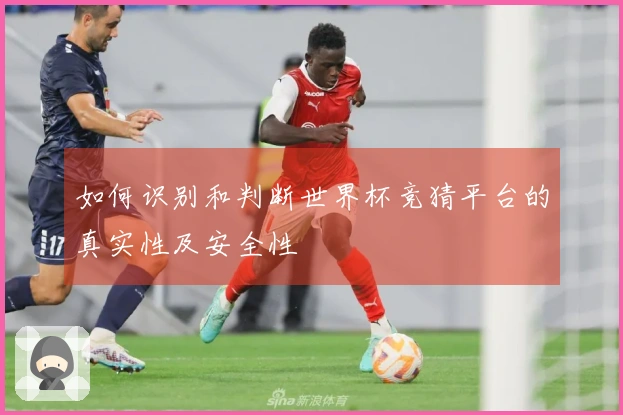 如何识别和判断世界杯竞猜平台的真实性及安全性
