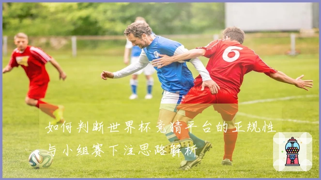 如何判断世界杯竞猜平台的正规性与小组赛下注思路解析