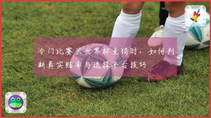 冷门比赛买世界杯竞猜时，如何判断真实赔率与选择平台技巧
