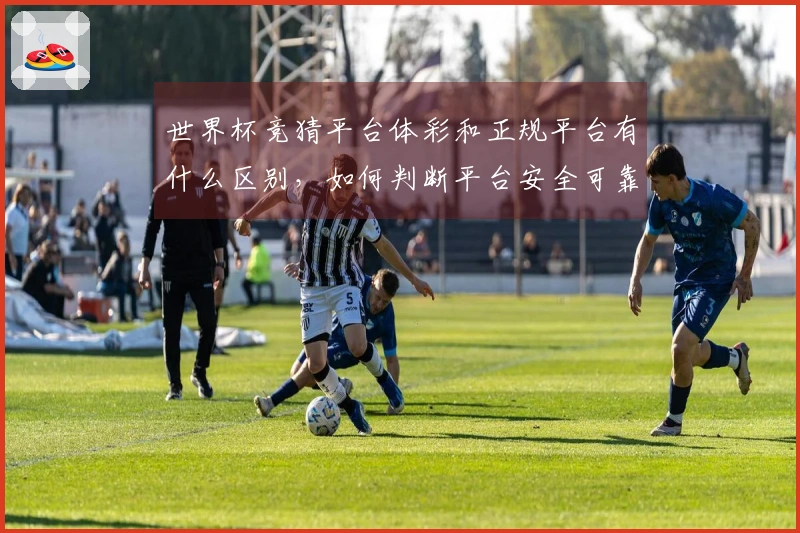 世界杯竞猜平台体彩和正规平台有什么区别，如何判断平台安全可靠