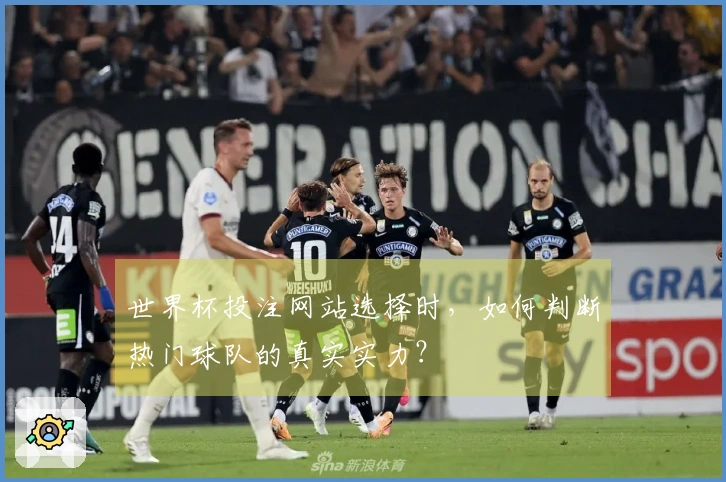 世界杯投注网站选择时，如何判断热门球队的真实实力？