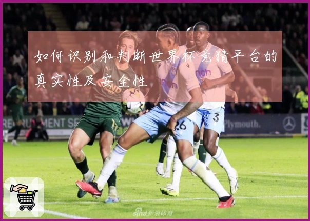 如何识别和判断世界杯竞猜平台的真实性及安全性