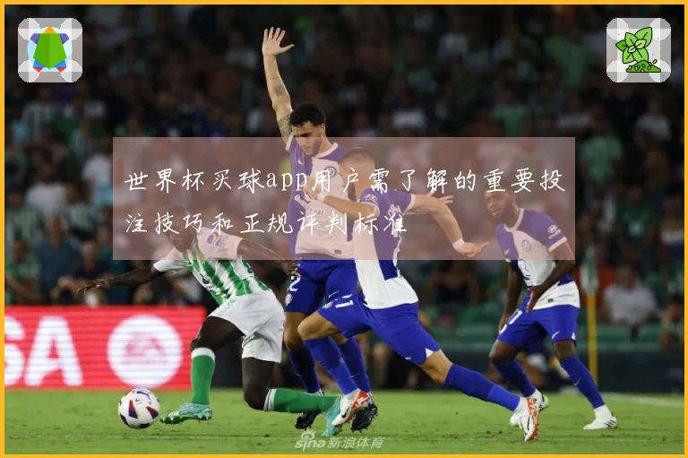世界杯买球app用户需了解的重要投注技巧和正规评判标准
