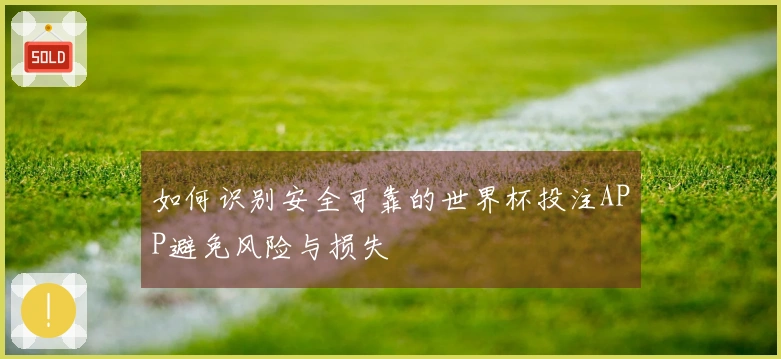 如何识别安全可靠的世界杯投注APP避免风险与损失