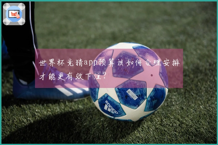 世界杯竞猜app预算该如何合理安排才能更有效下注？